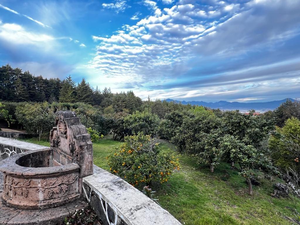 Villa del Lago - Property Image 19