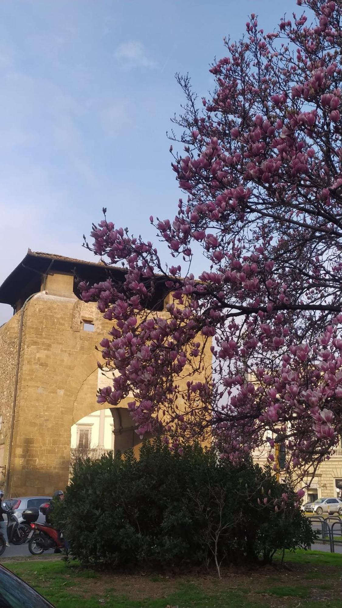 Firenze Alla Porta coi Sassi