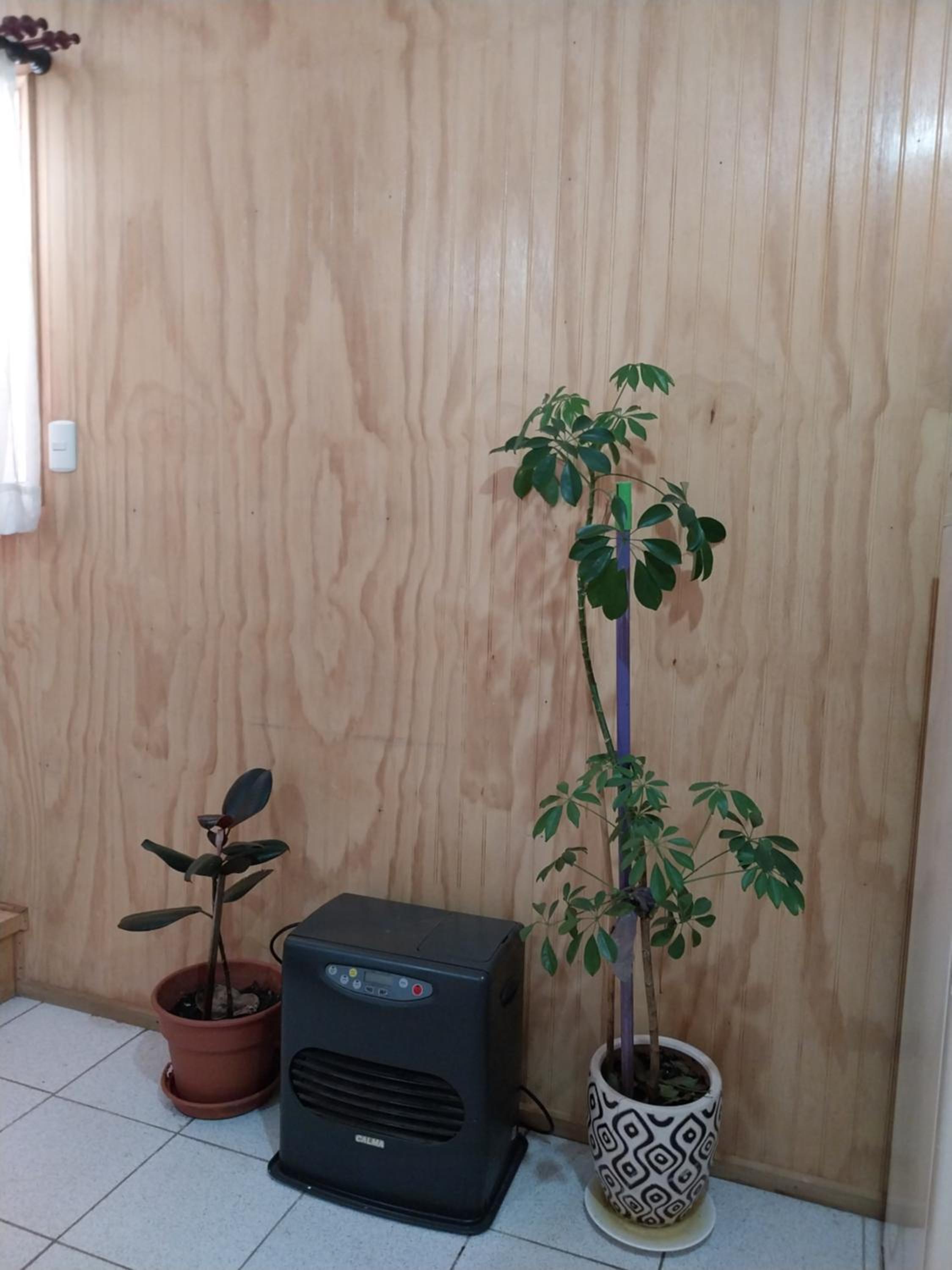 ACOGEDOR DEPARTAMENTO