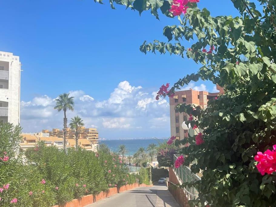 APARTAMENTO ARENALES BELLAVISTASOLYMAR