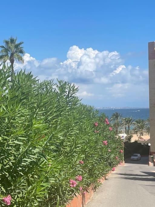 APARTAMENTO ARENALES BELLAVISTASOLYMAR
