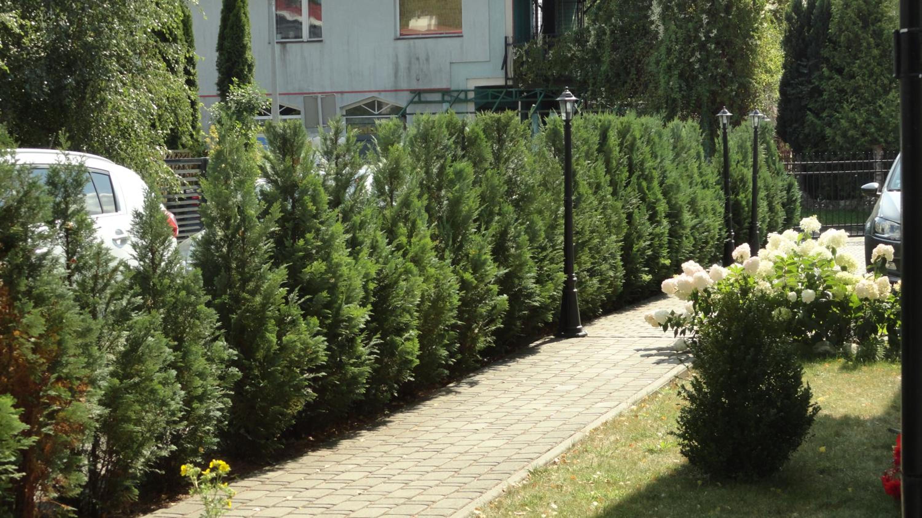 Heweliusz view 2