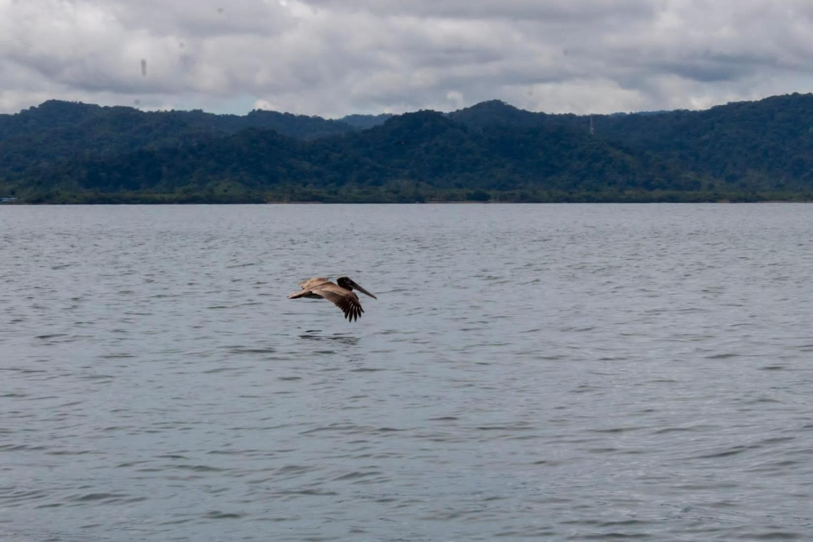 Orígenes Eco Refugio