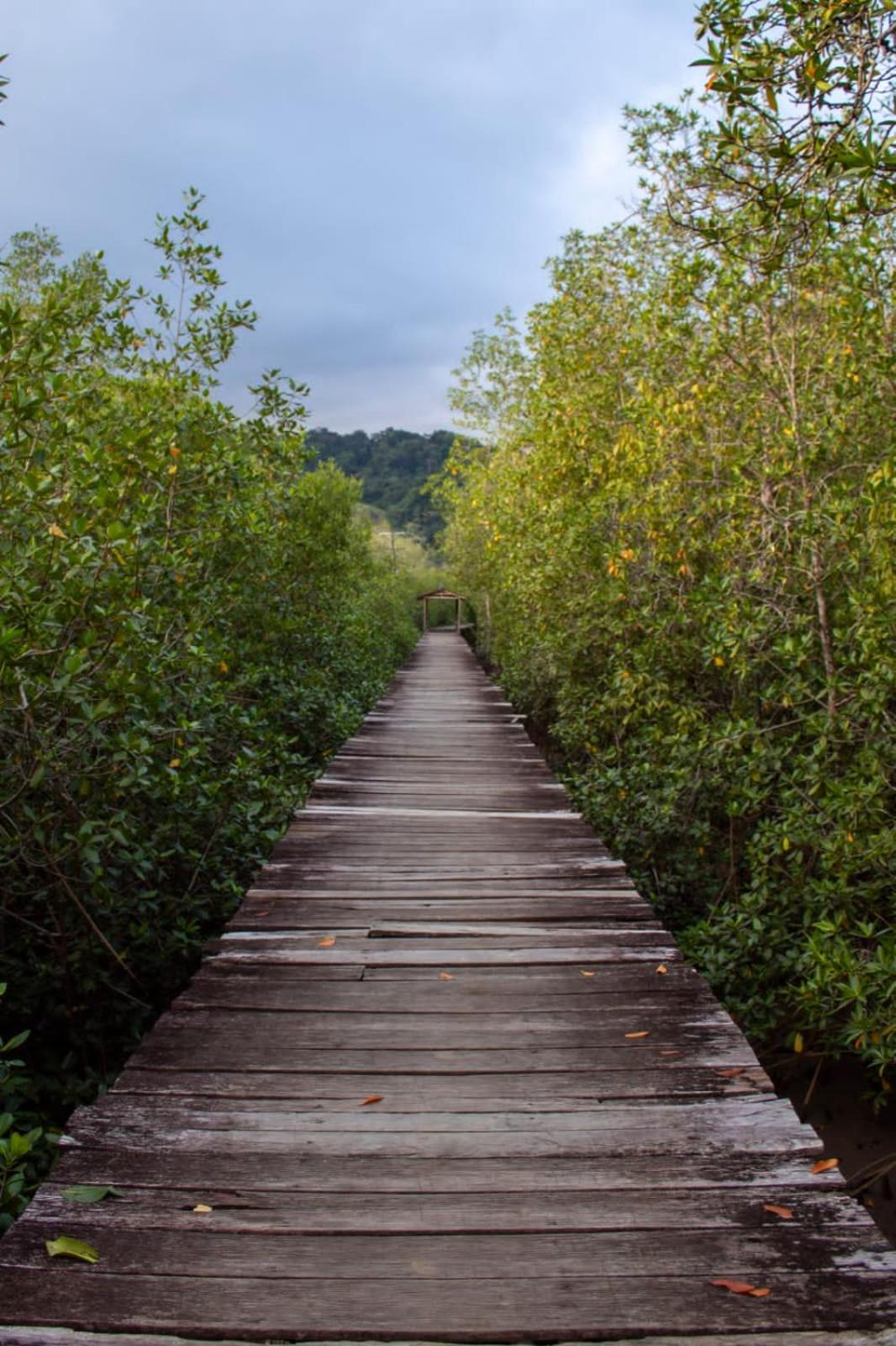 Orígenes Eco Refugio