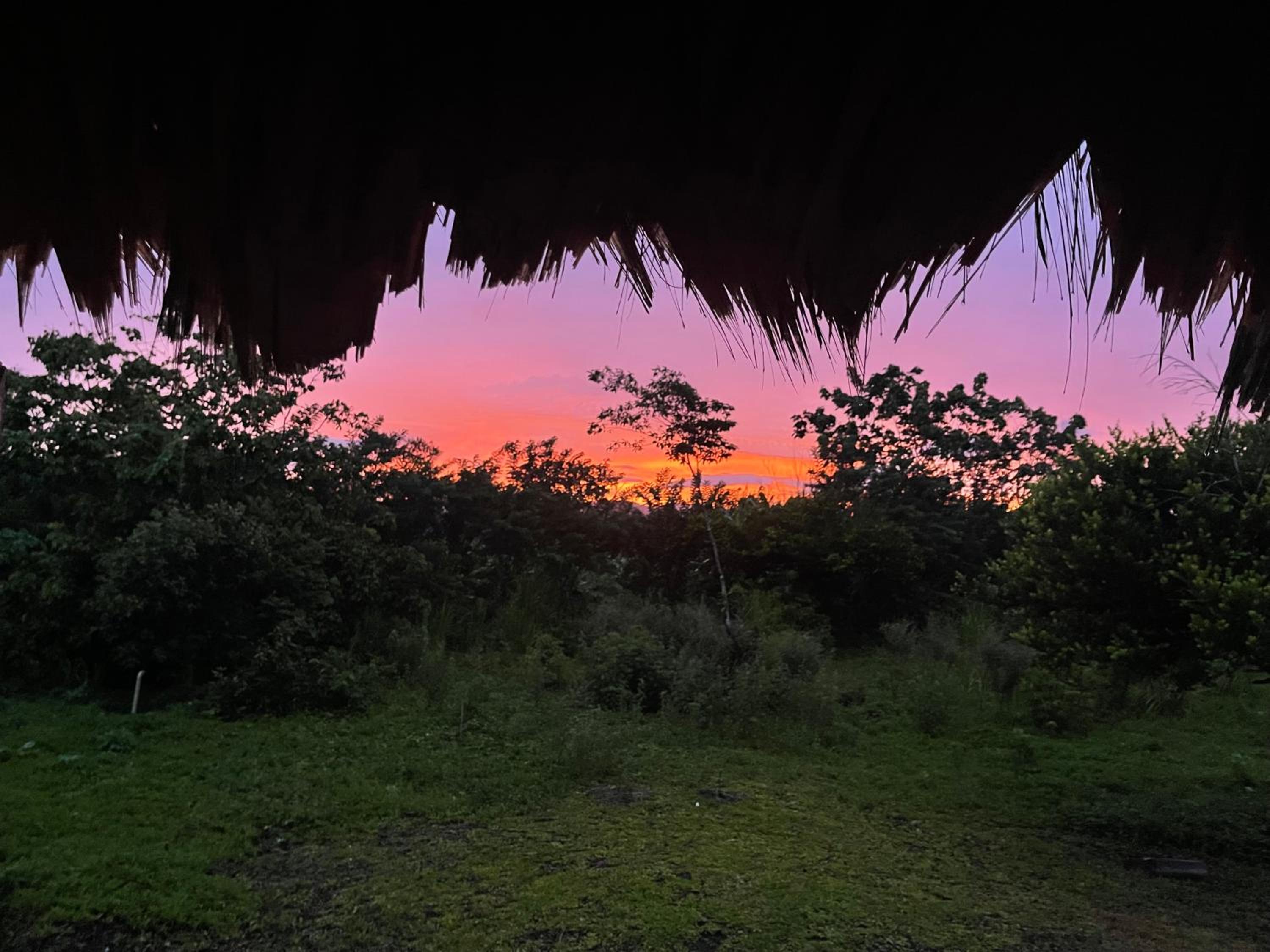 Orígenes Eco Refugio