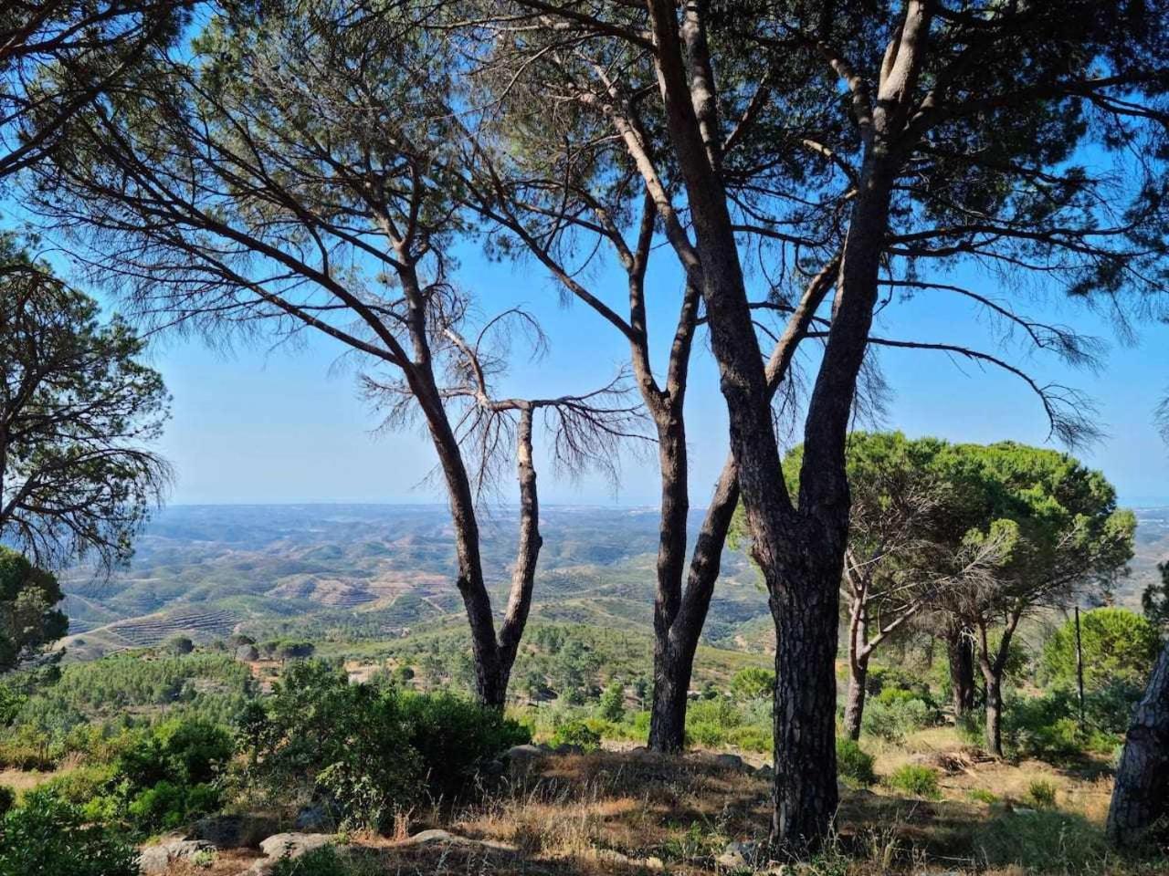 Quinta da Idalina