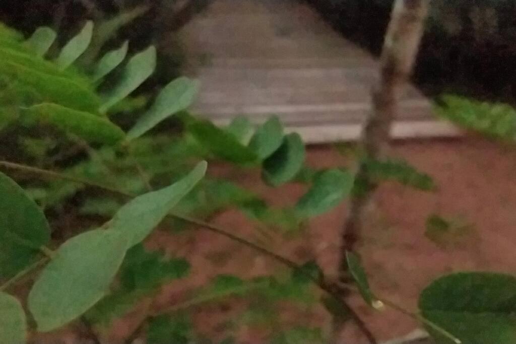 Cabana do Riacho: conforto, natureza e privacidade
