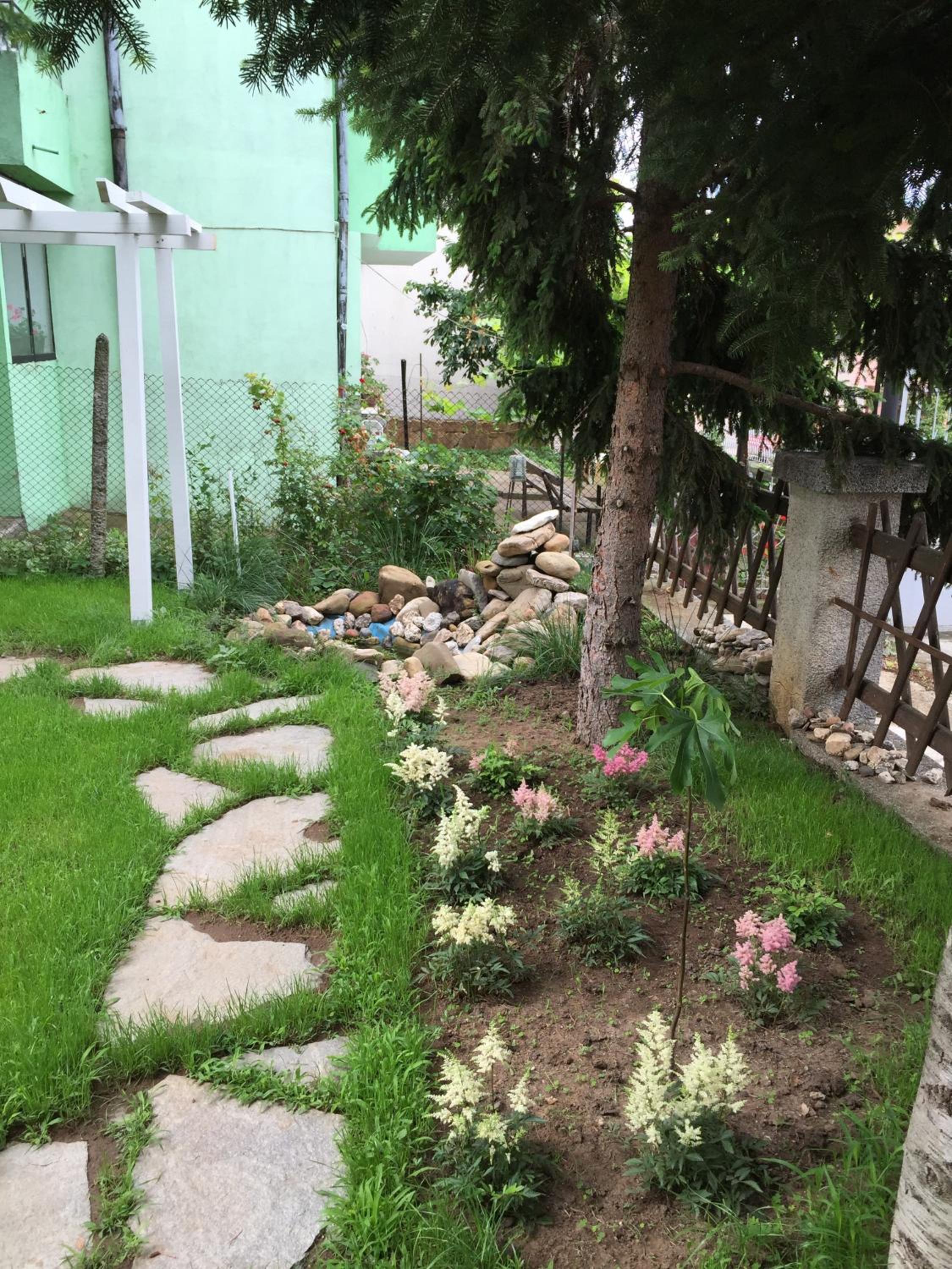 Photo 33