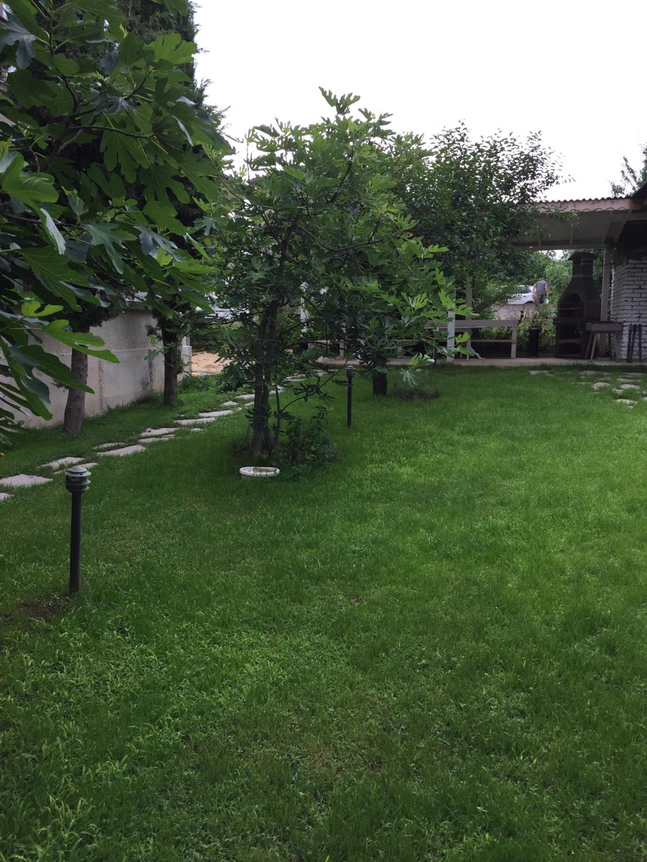 Photo 34