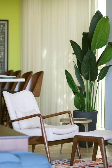 Loft Delfines. A modern decor beauty - Ocean view