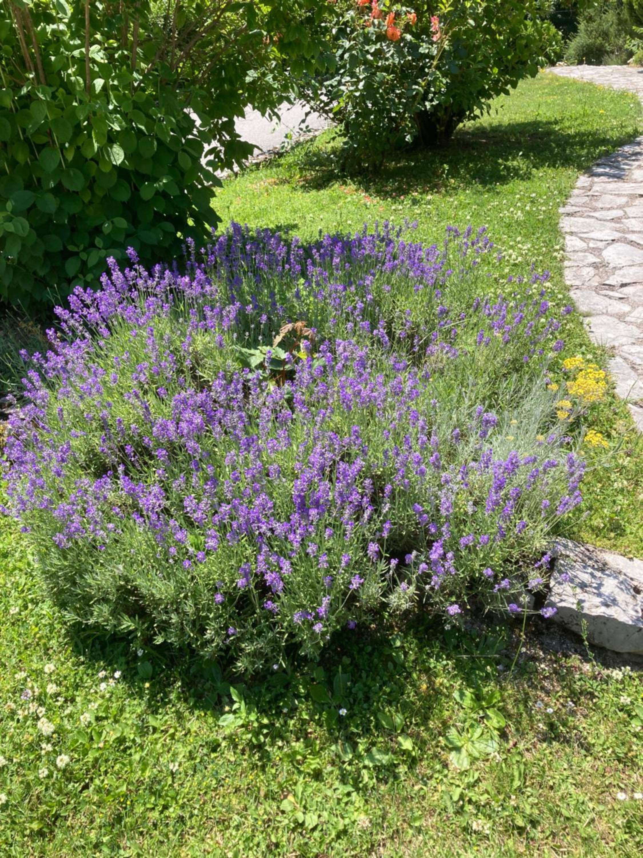 Villa Lykos Plitvice