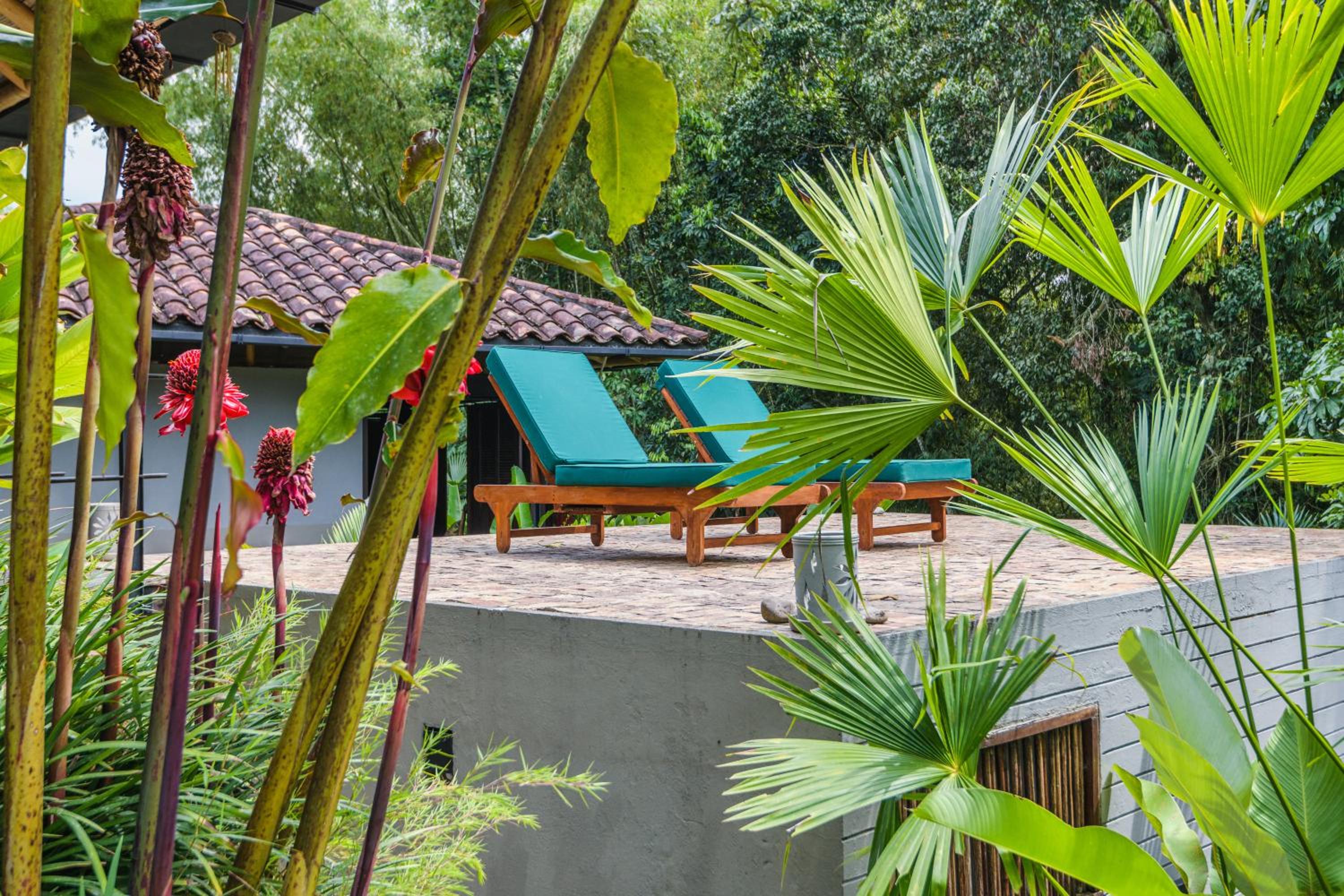 FINCA HOTEL CAÑA BRAVA