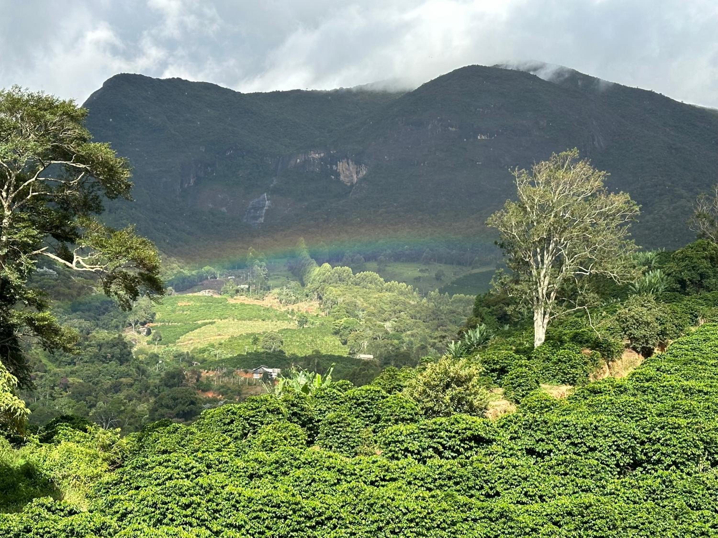 CORAÇÃO DO ALTO CHALES