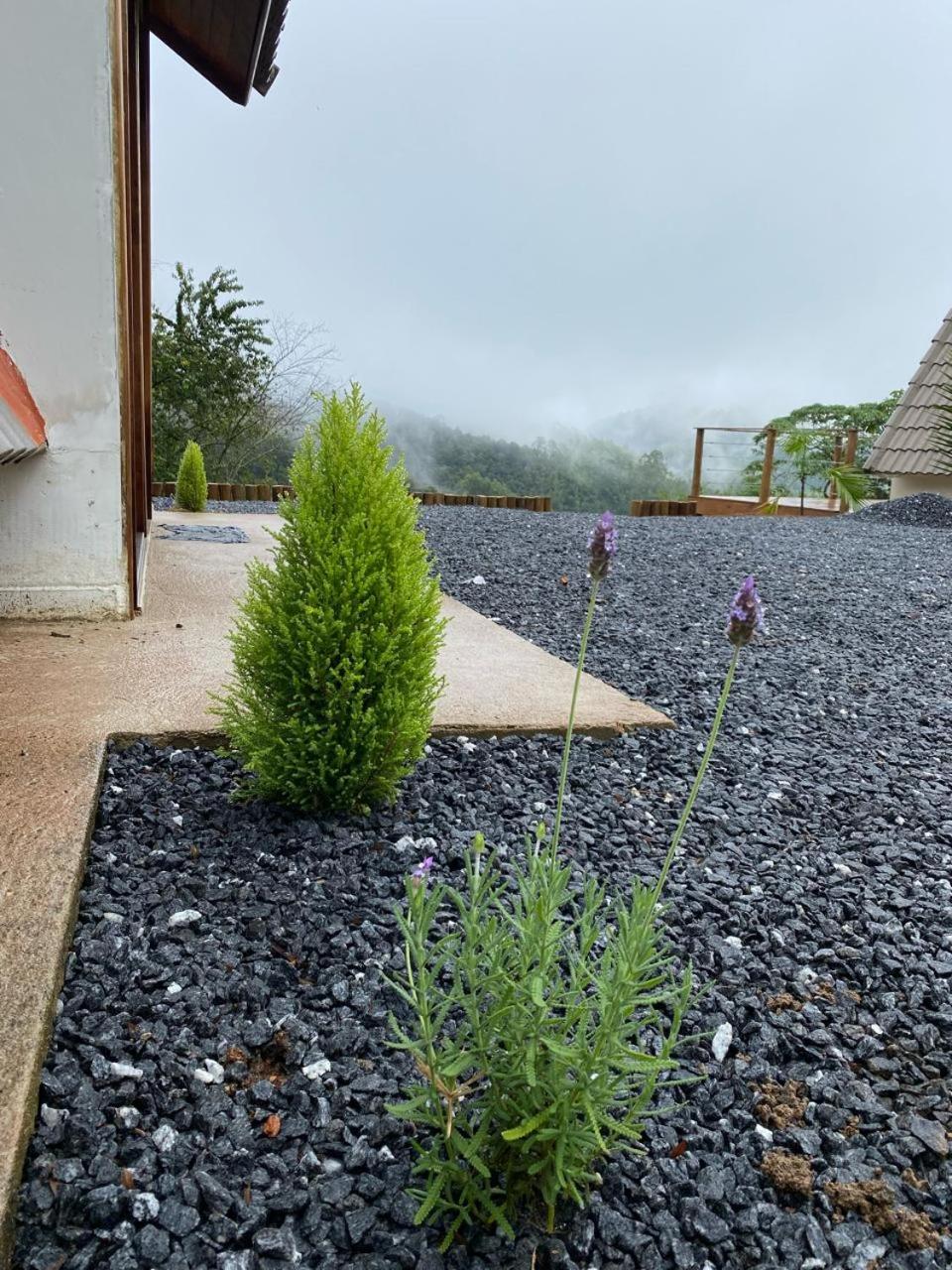 Chalés Fazenda Floresta das Araucárias