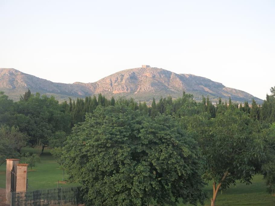 Photo 13