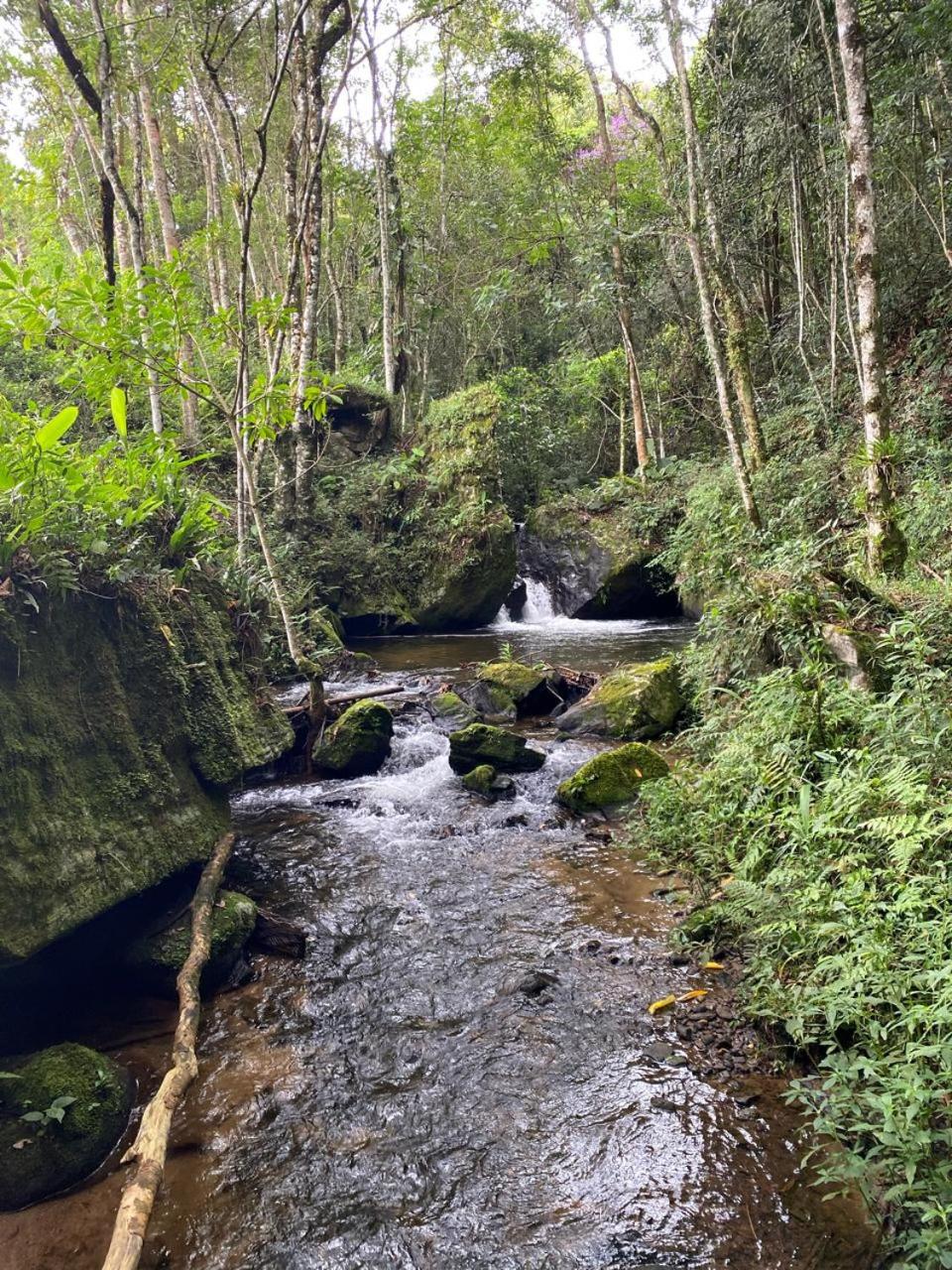 Chalés Fazenda Floresta das Araucárias