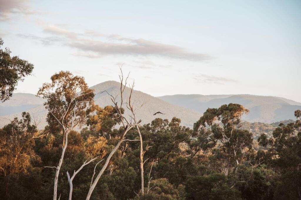 Tarrawarra Retreat