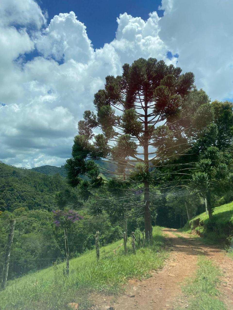 Chalés Fazenda Floresta das Araucárias
