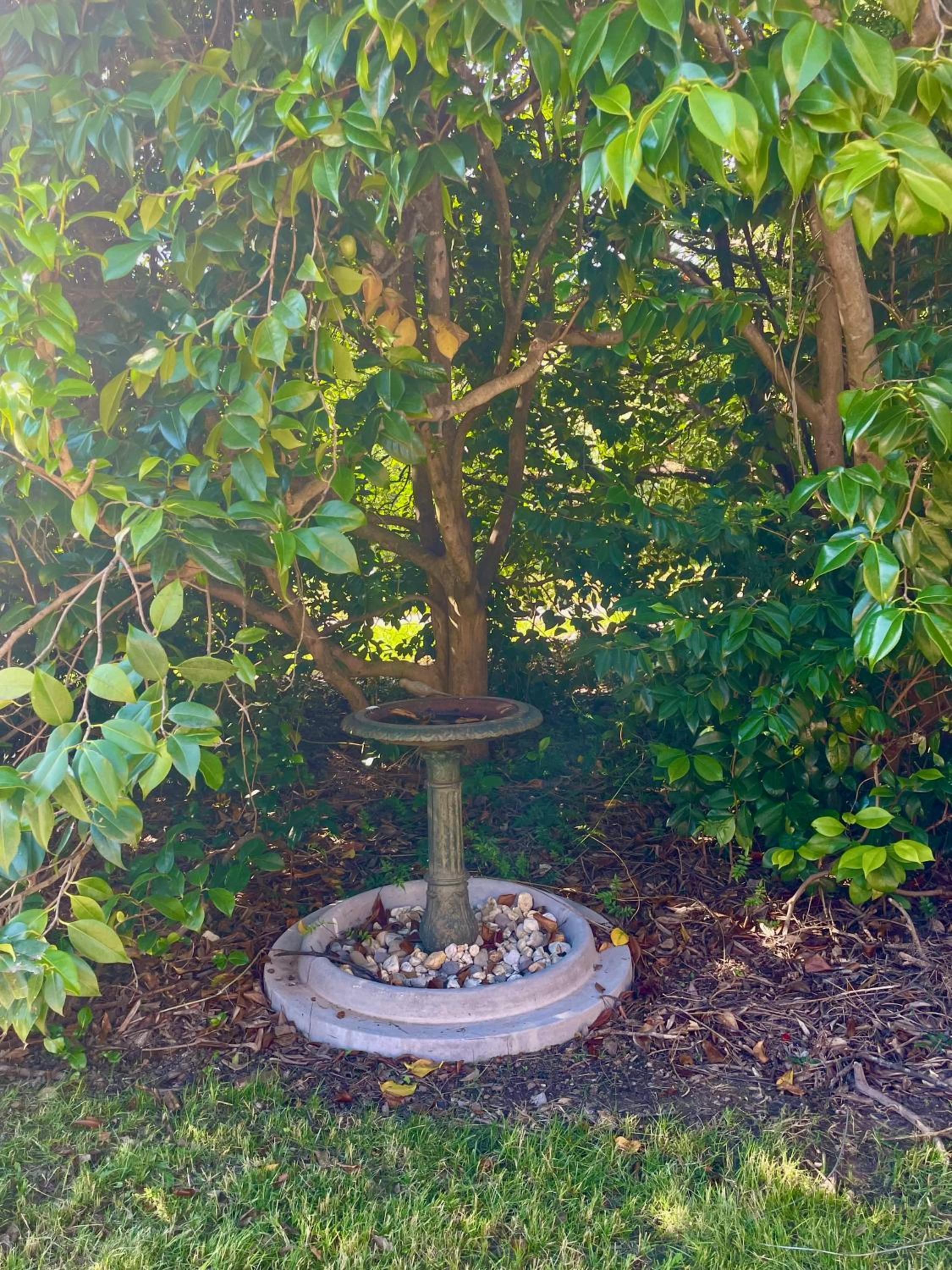 Yarra Valley Lifestyle Complete Home in Healesville Accommodates 6 adults Close to wineries Beautifully styled with excellent amenities Walk to town Welcom