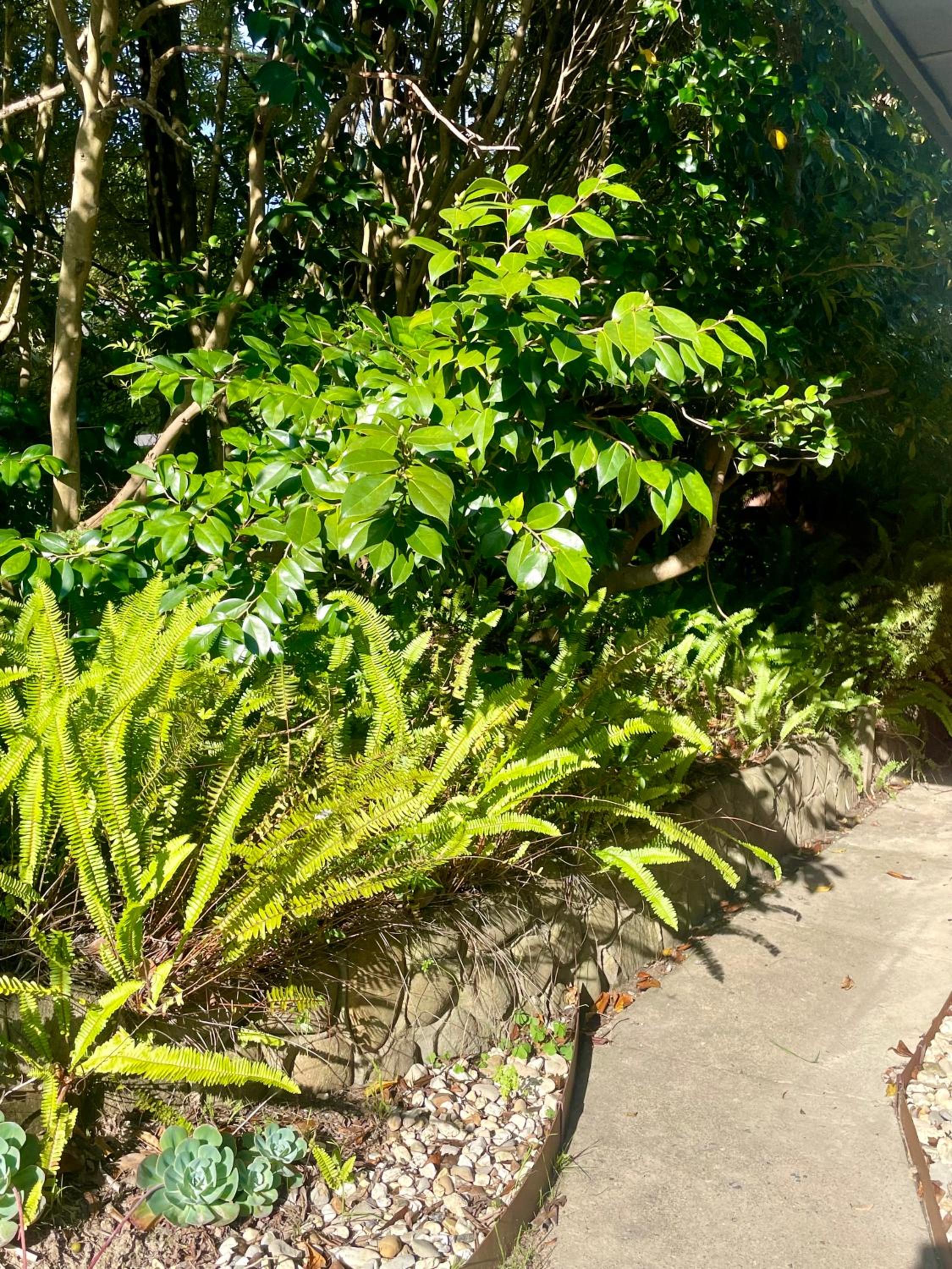 Yarra Valley Lifestyle Complete Home in Healesville Accommodates 6 adults Close to wineries Beautifully styled with excellent amenities Walk to town Welcom