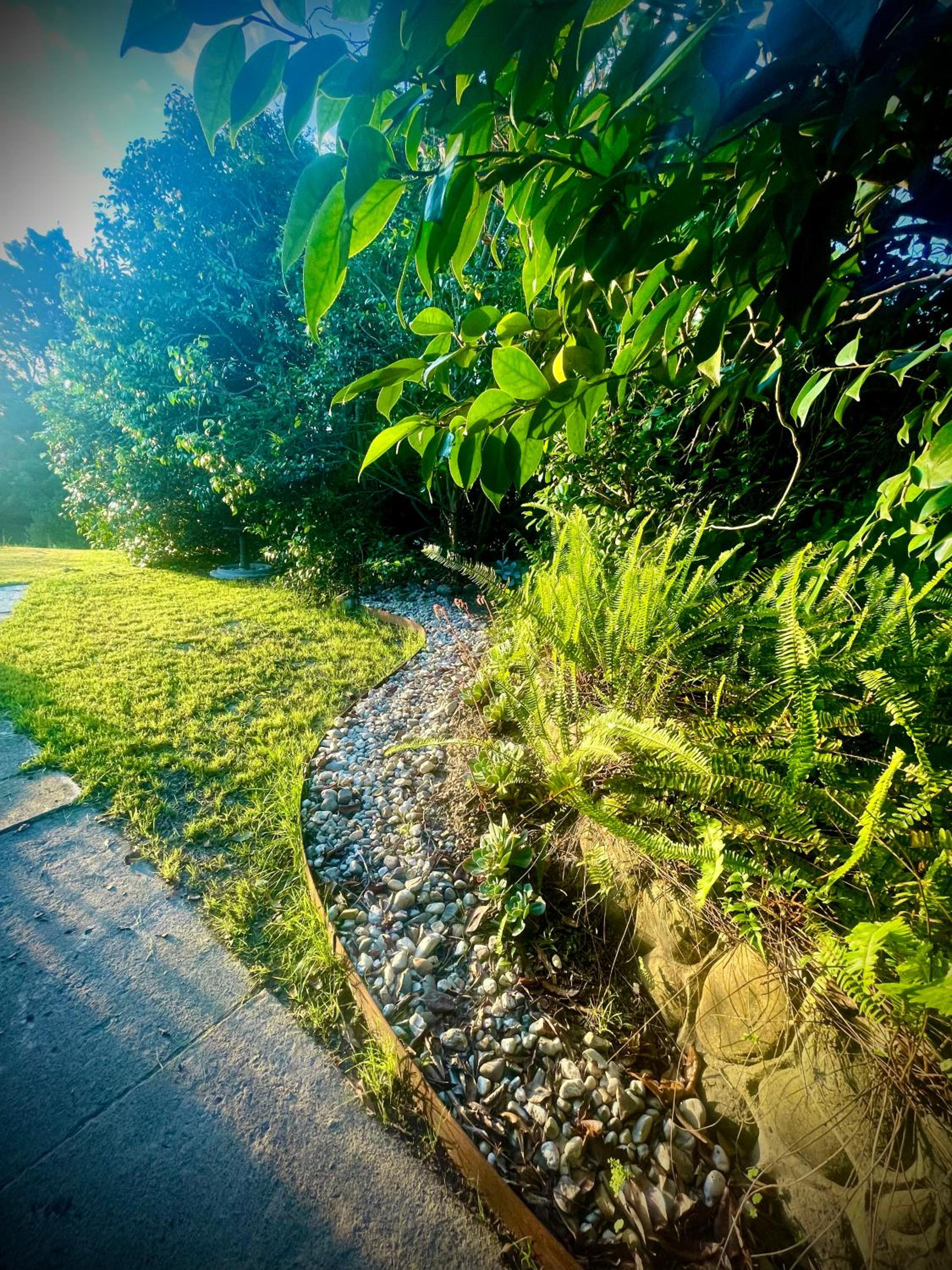 Yarra Valley Lifestyle Complete Home in Healesville Accommodates 6 adults Close to wineries Beautifully styled with excellent amenities Walk to town Welcom