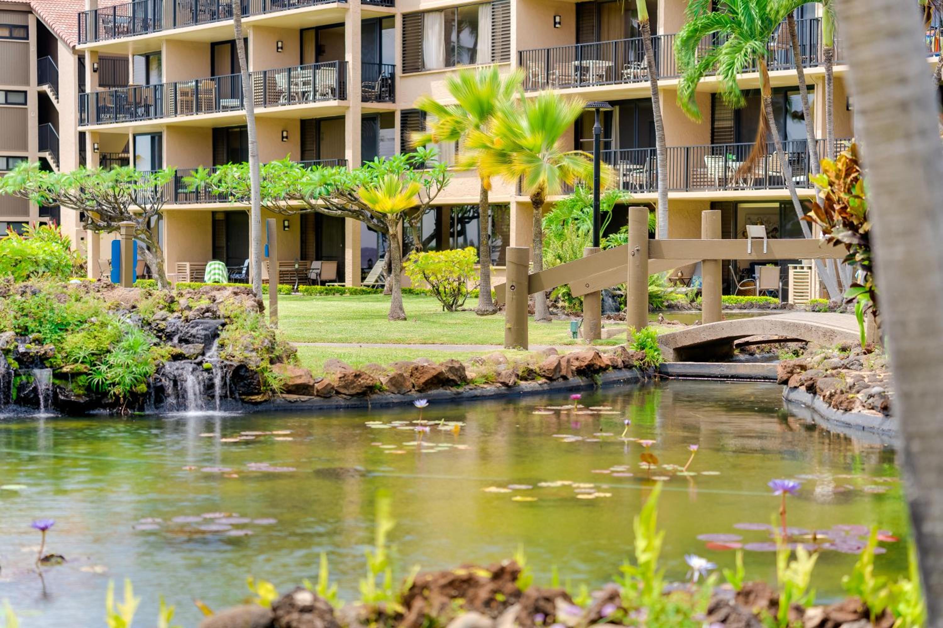 Papakea A108 · PK A108 Remodeled OceanFront Studio w Ocean Views