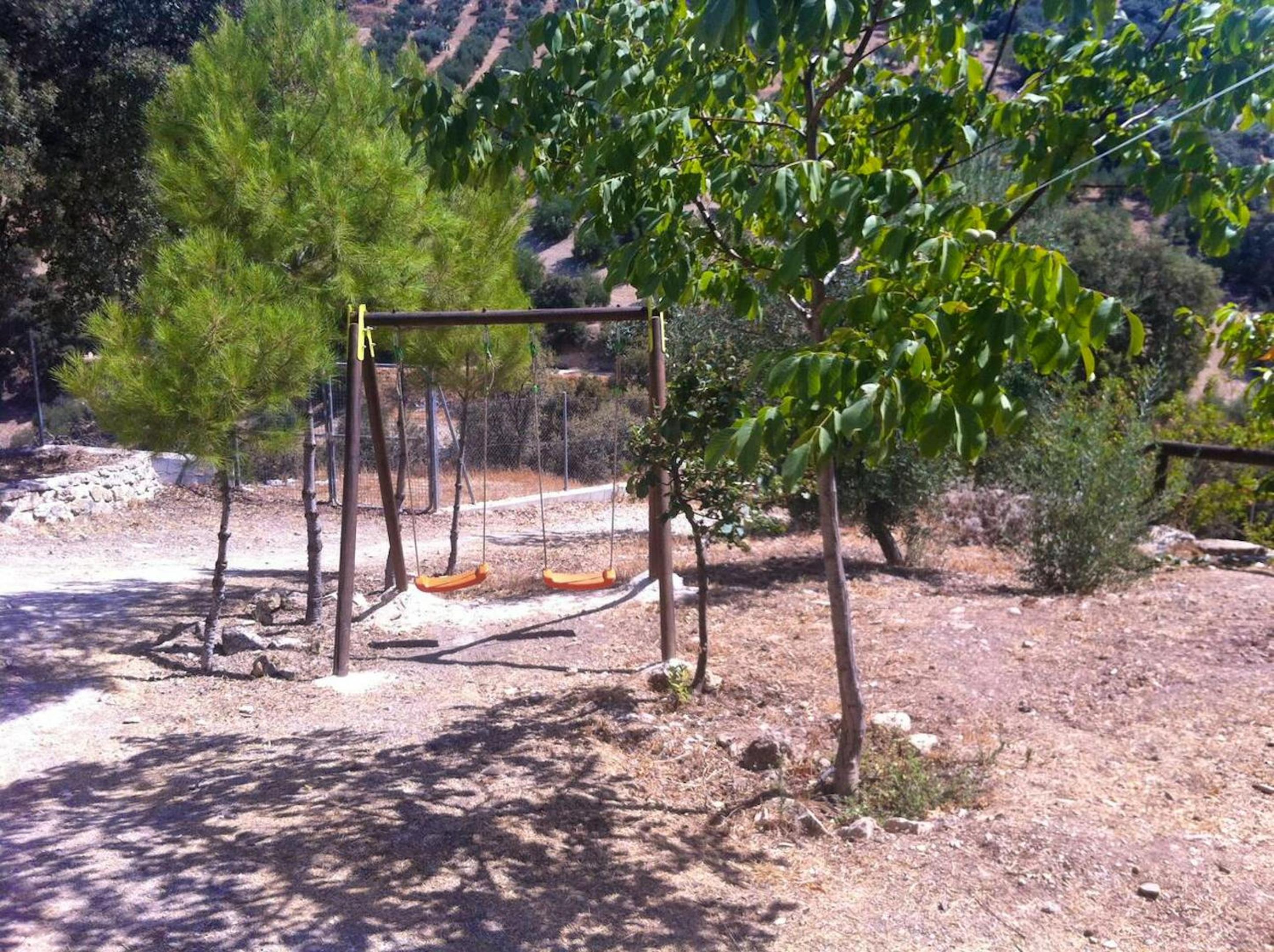 Photo 21