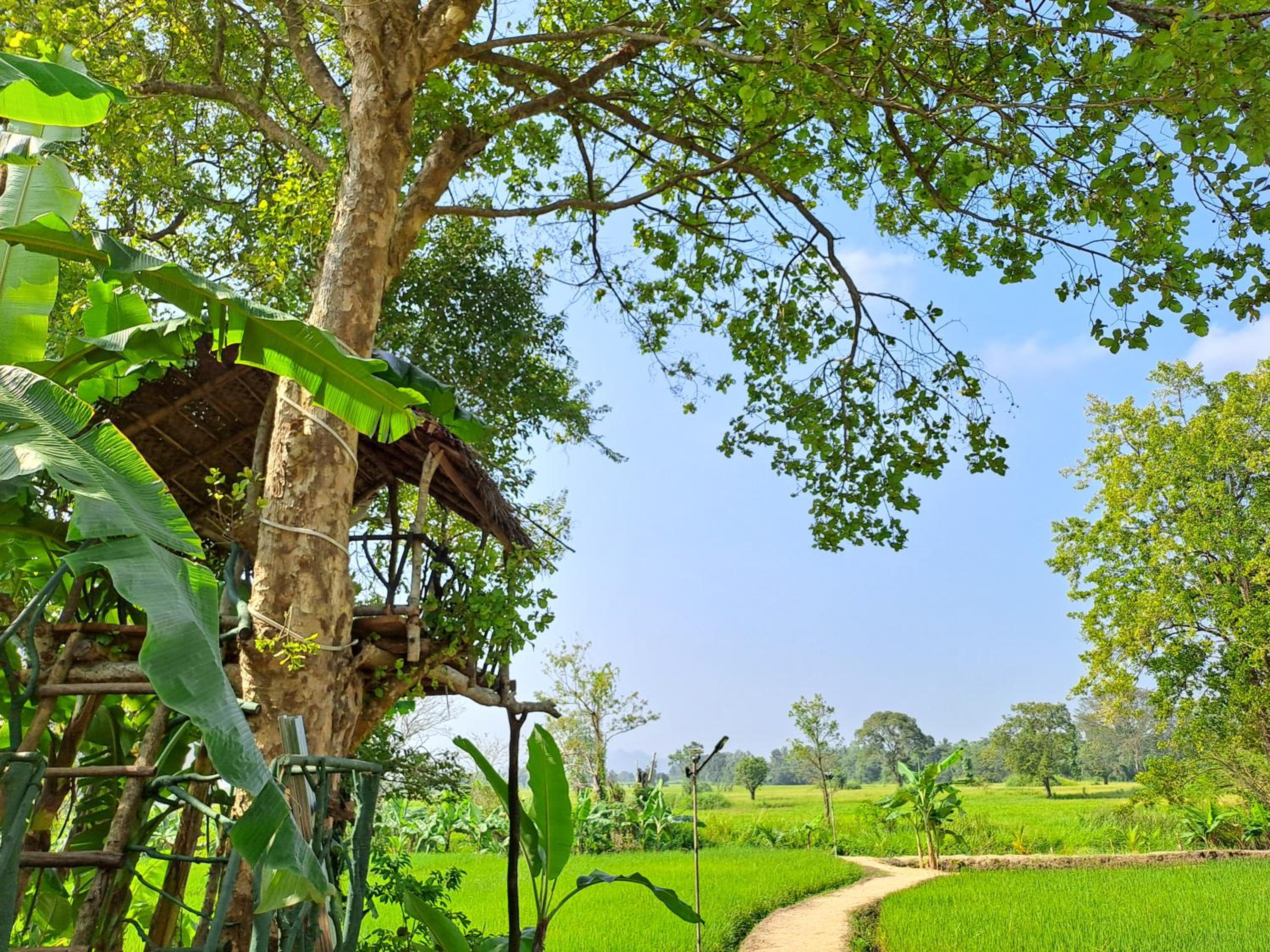 The Nature Park Villa