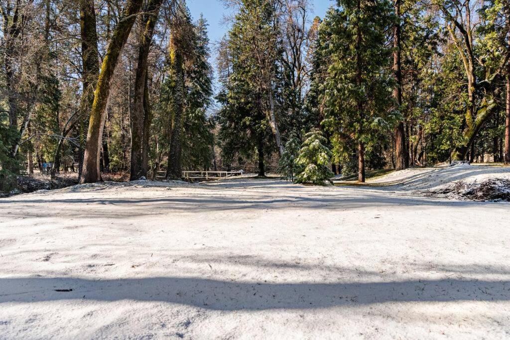 Modern LakeHouse Sleeps 20 Hot Tub/Games/Fire Pit view 4