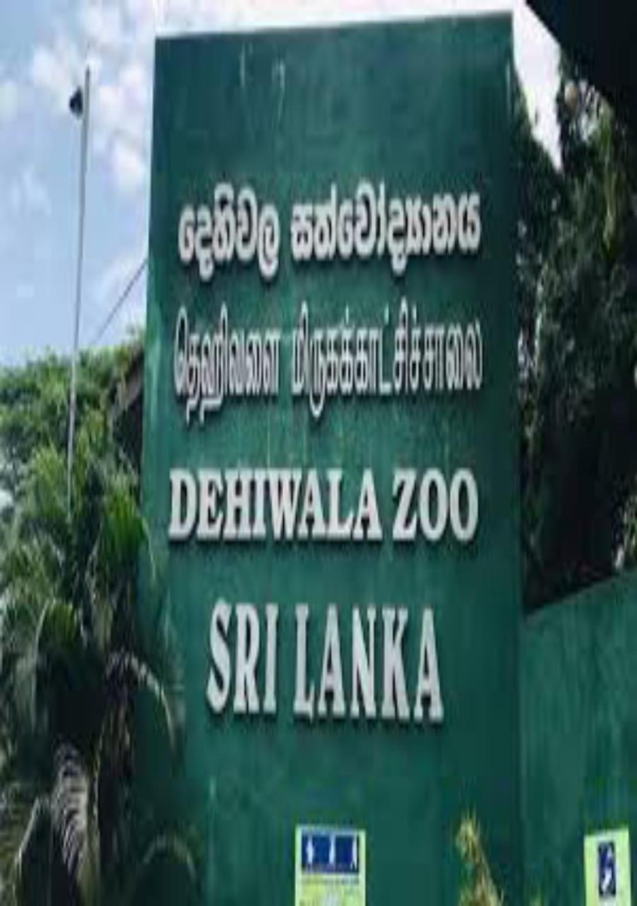 Nirwana Resort