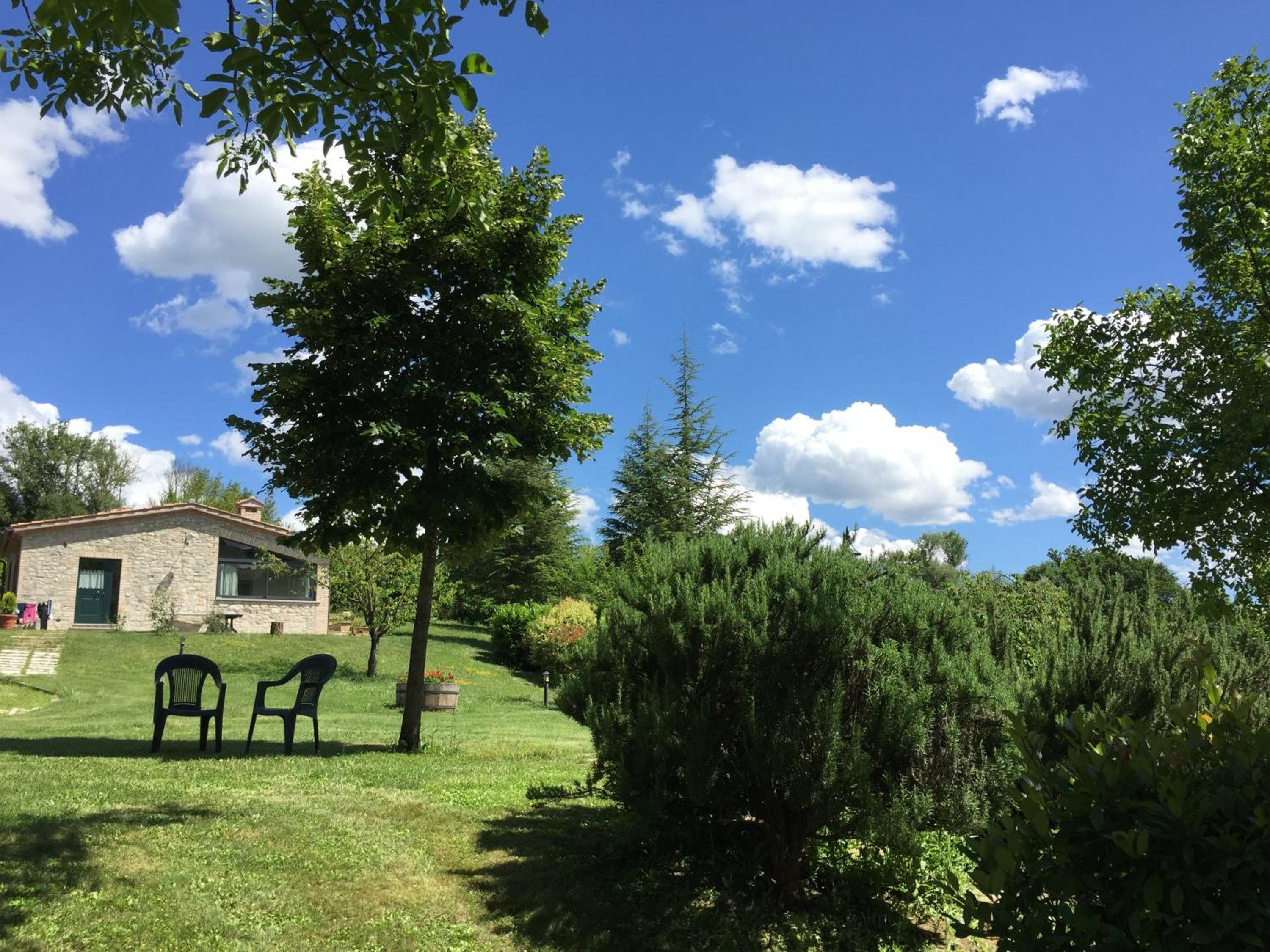 Photo 17