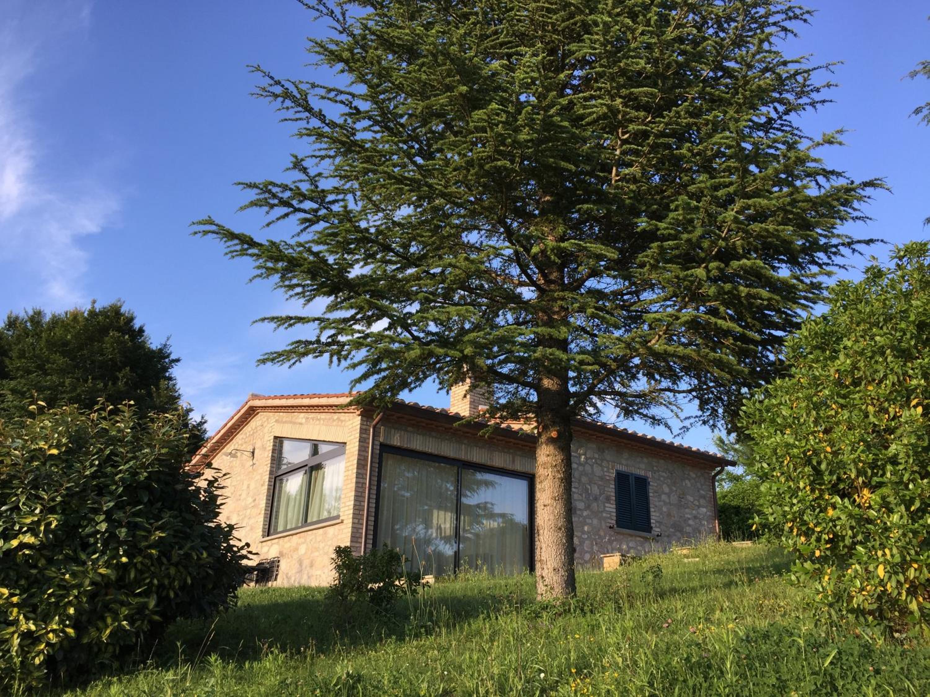 Photo 19