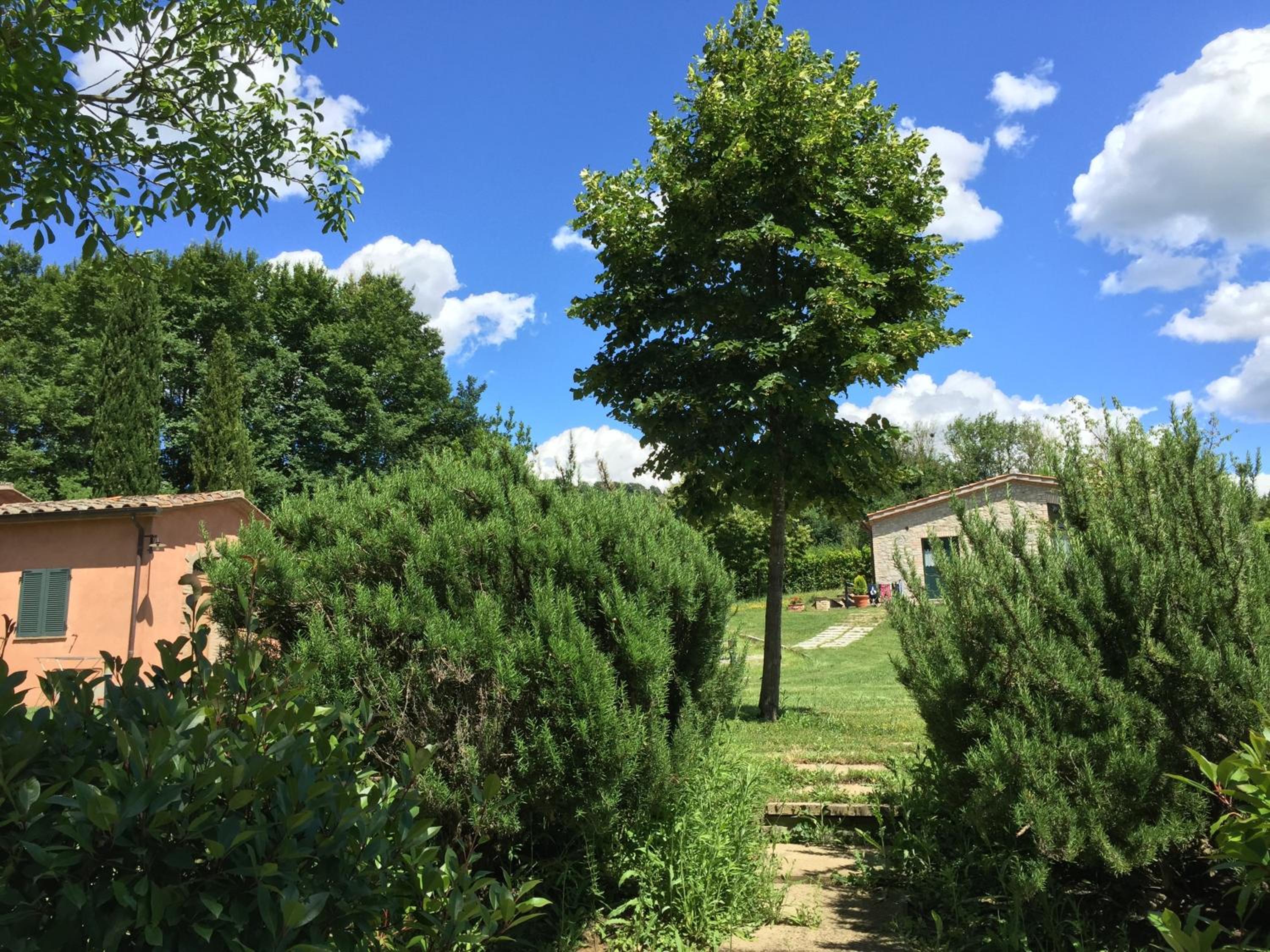 Photo 22