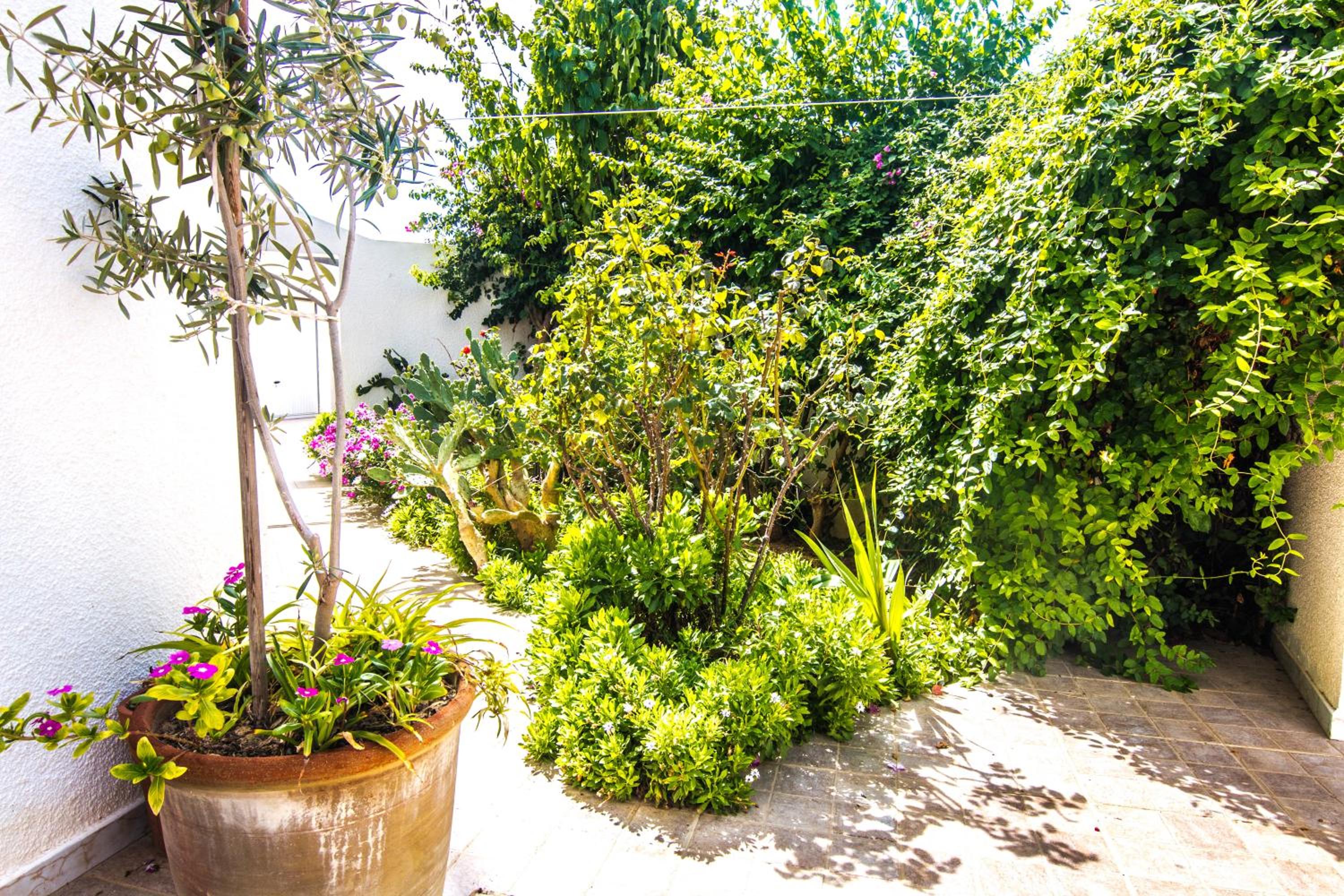 Mahdia Place Apartments