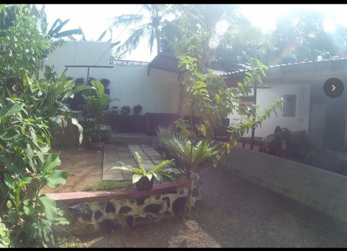 Sarath Home Stay Hikkaduwa view 5