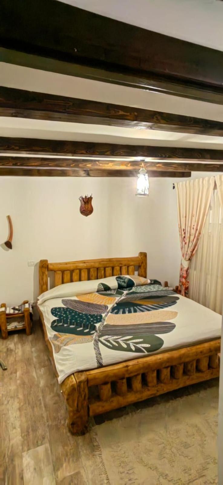 Casa David