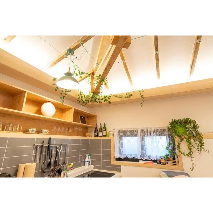 Studio Wolyoung