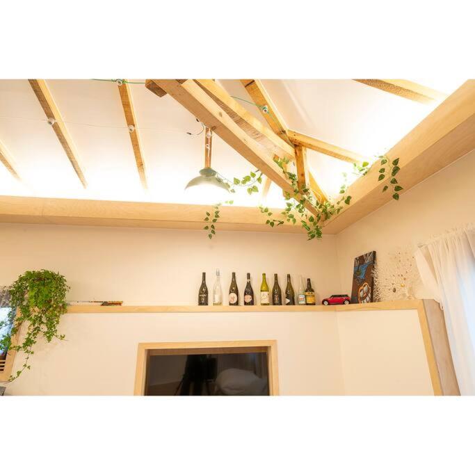 Studio Wolyoung