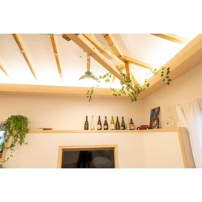 Studio Wolyoung