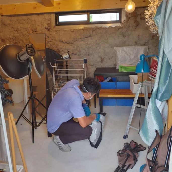 Studio Wolyoung