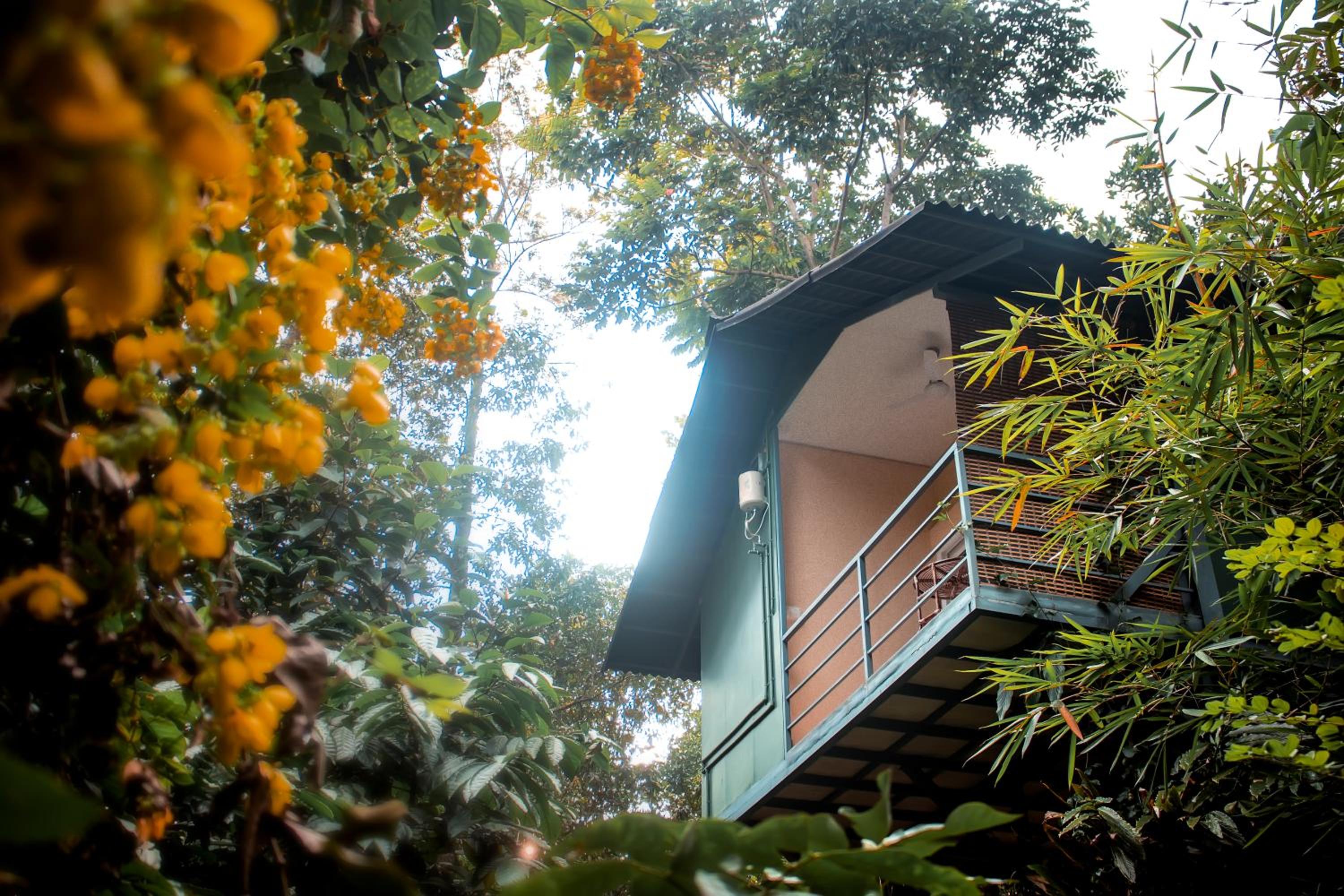 Edens Munnar view 3