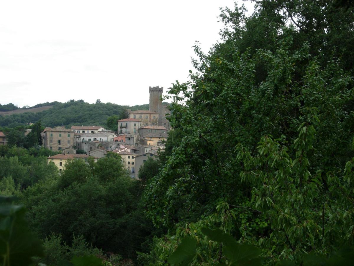 Il Pino Amiata view 5