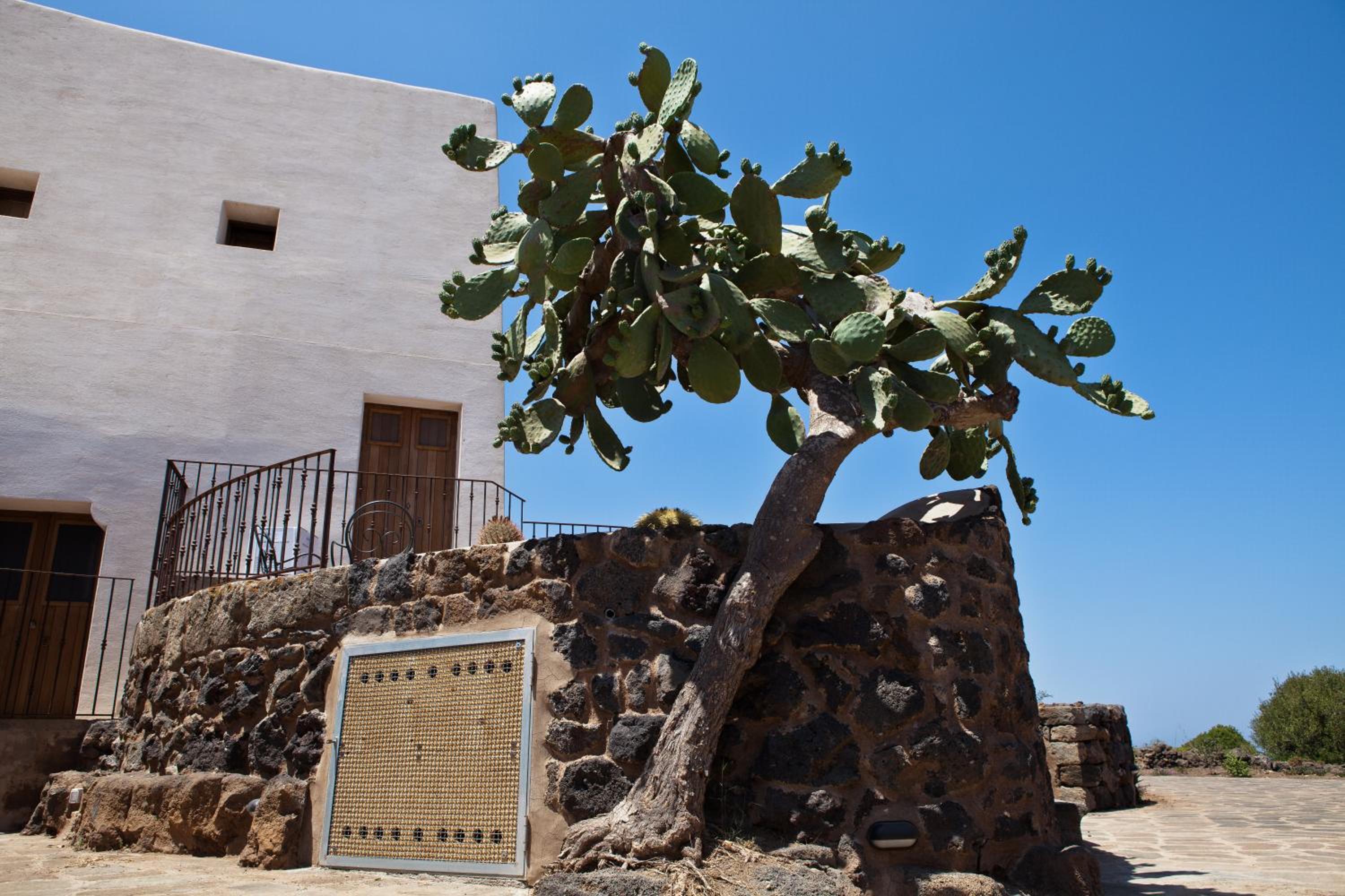 Dammusi Al-Qubba Wellness & Resort