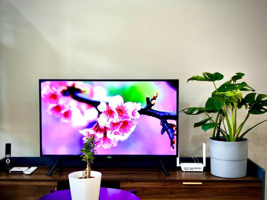Premium Cozy Studio Near Mid Valley