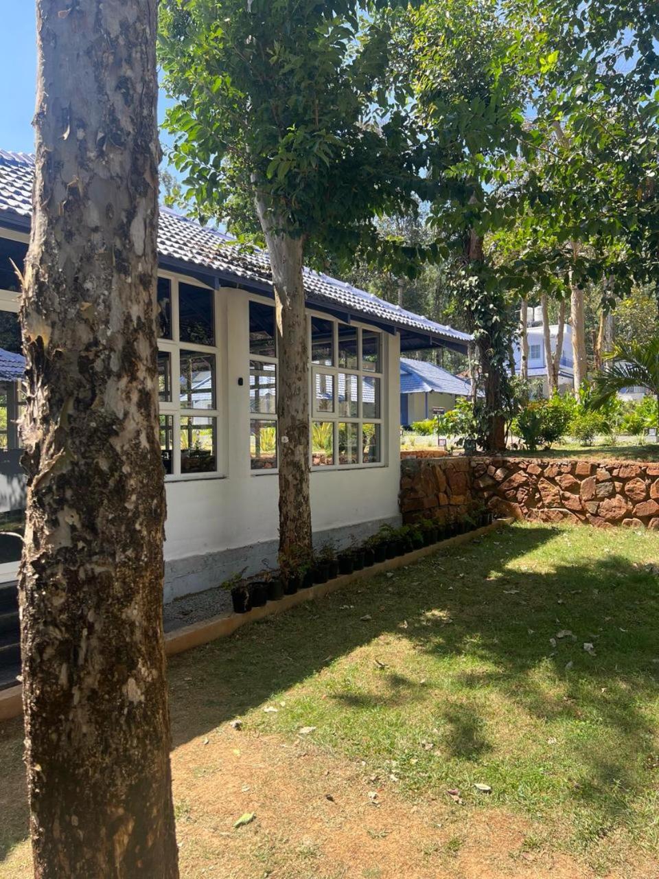 Photo 74