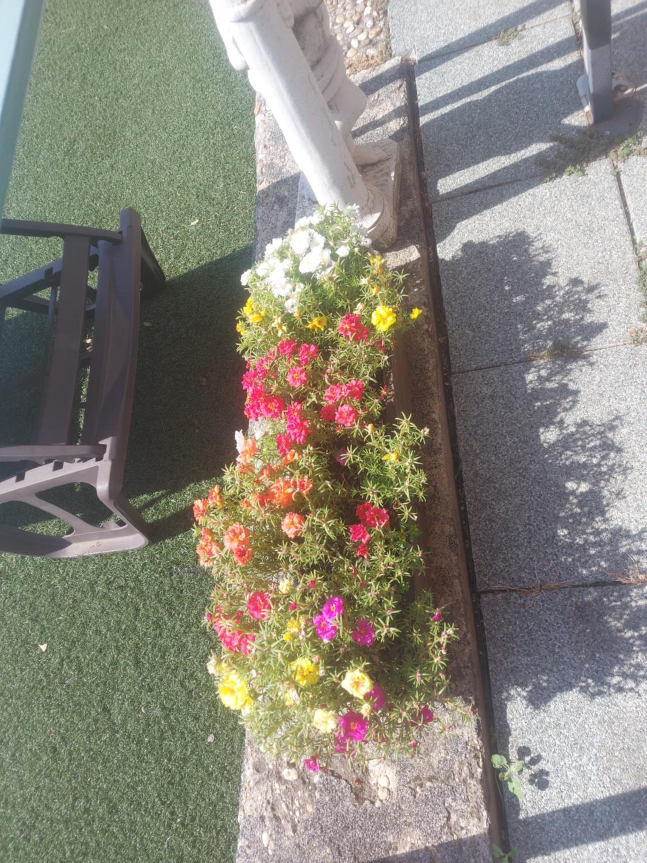 Attila's Guest House view 5