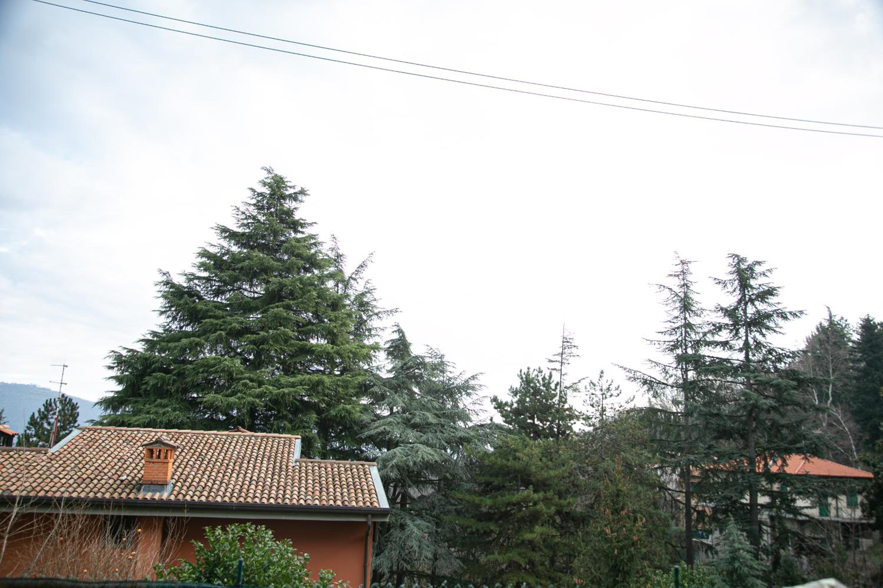 Casa di Beppe Città Alta view 5