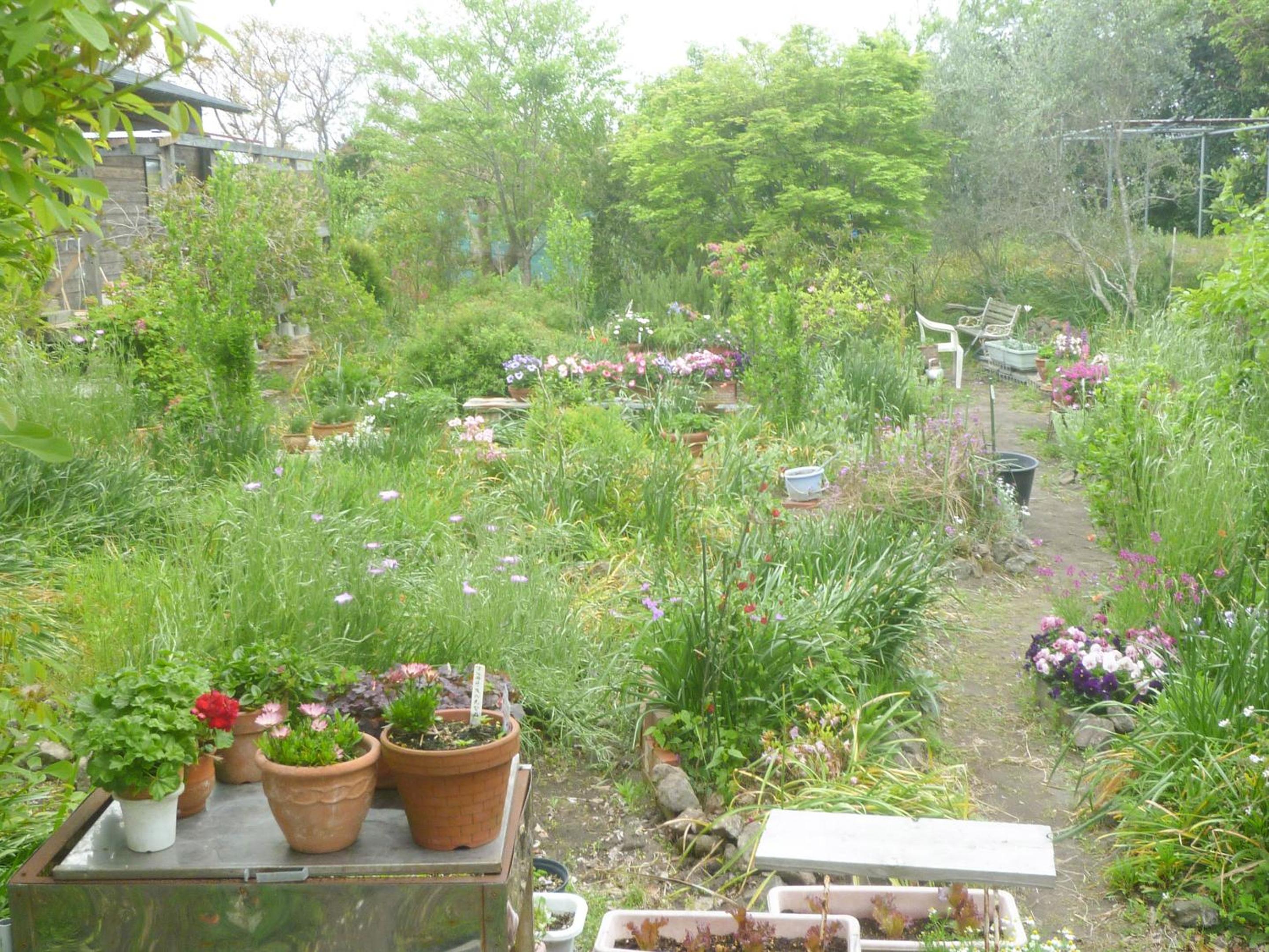 Pension Flora view 2