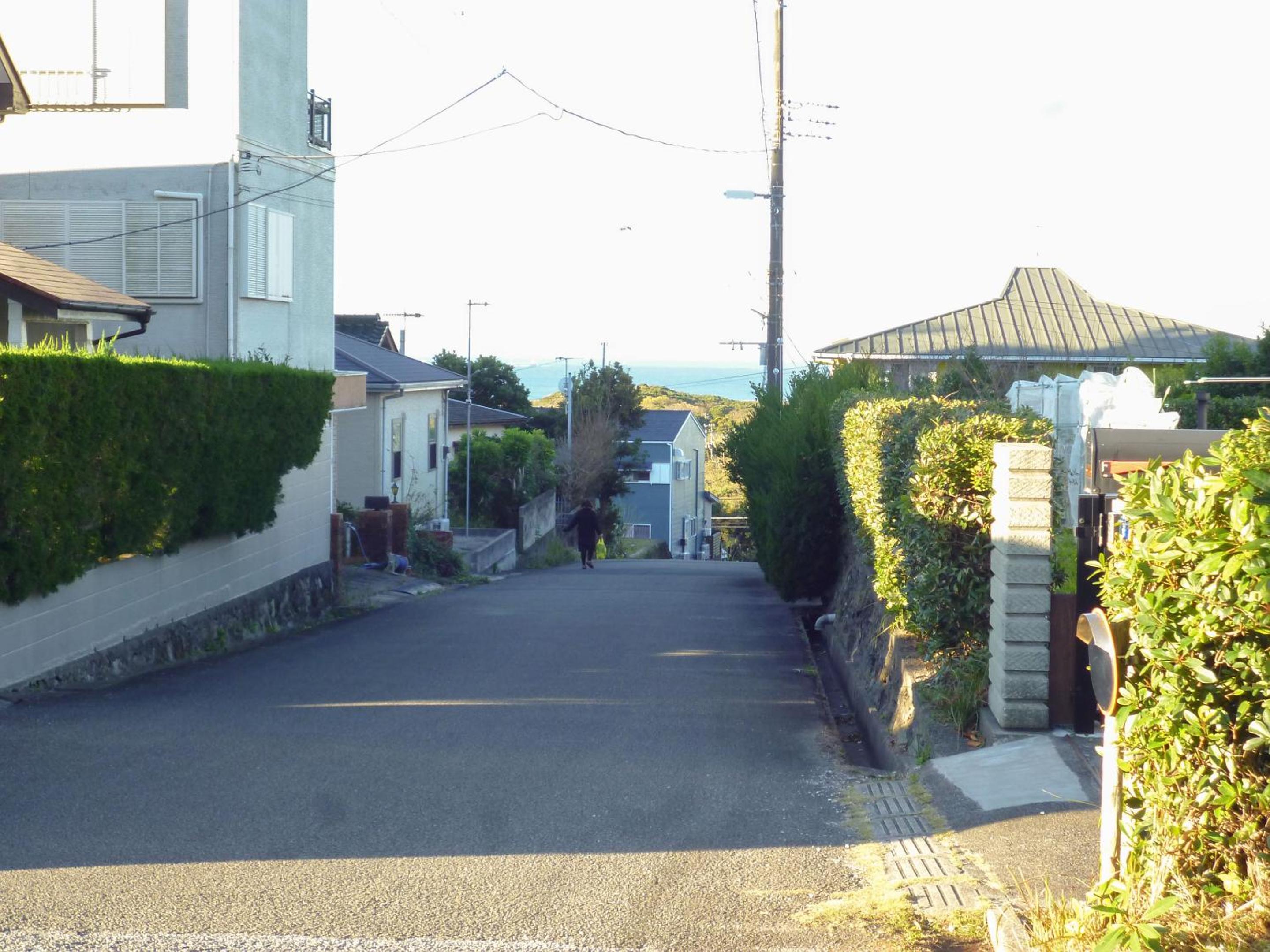 Photo 24