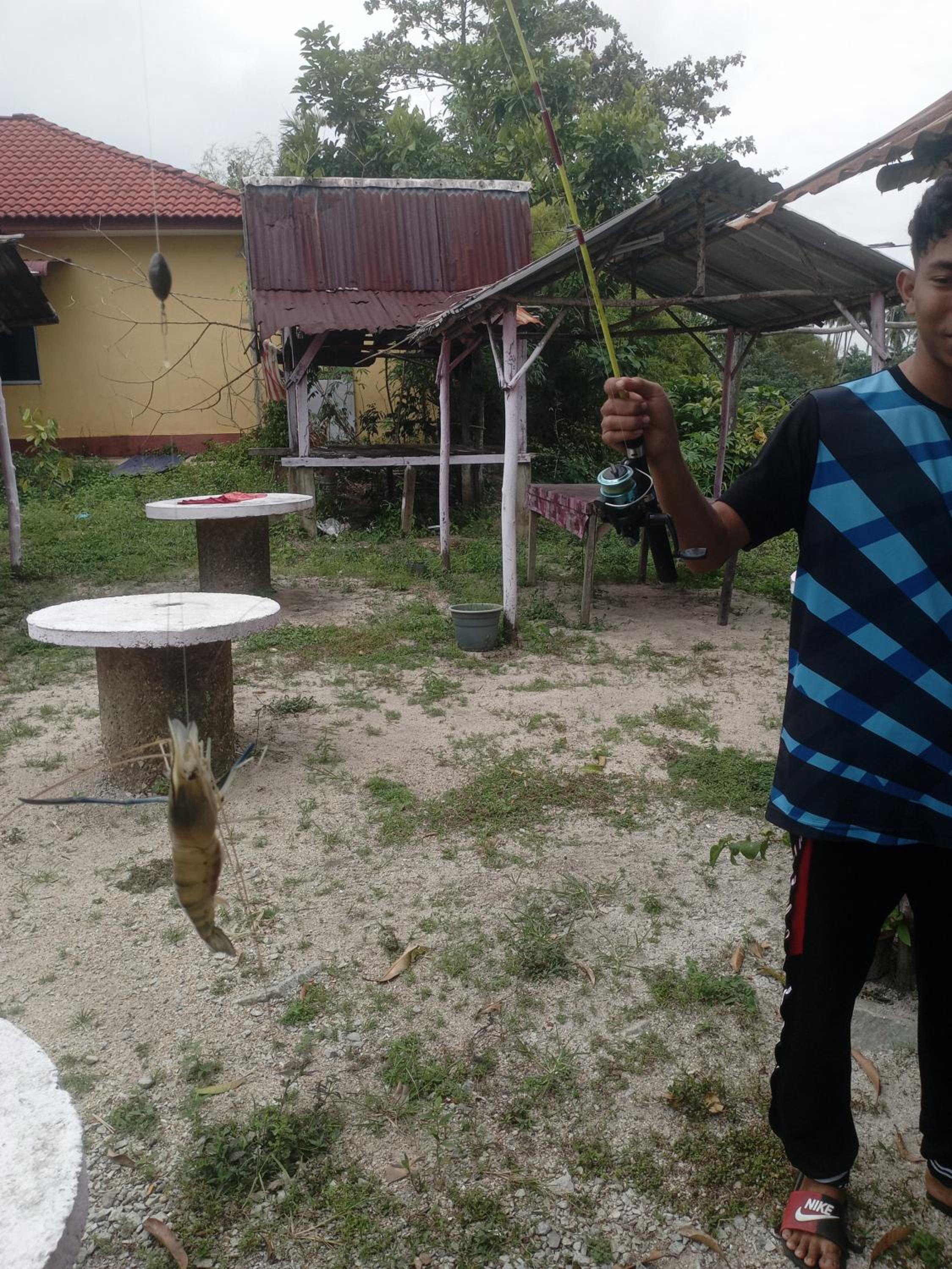 TERATAK AQISH3 photo 4